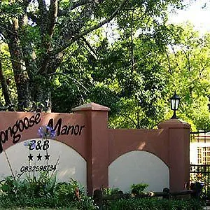 Mongoose Manor Port Elizabeth